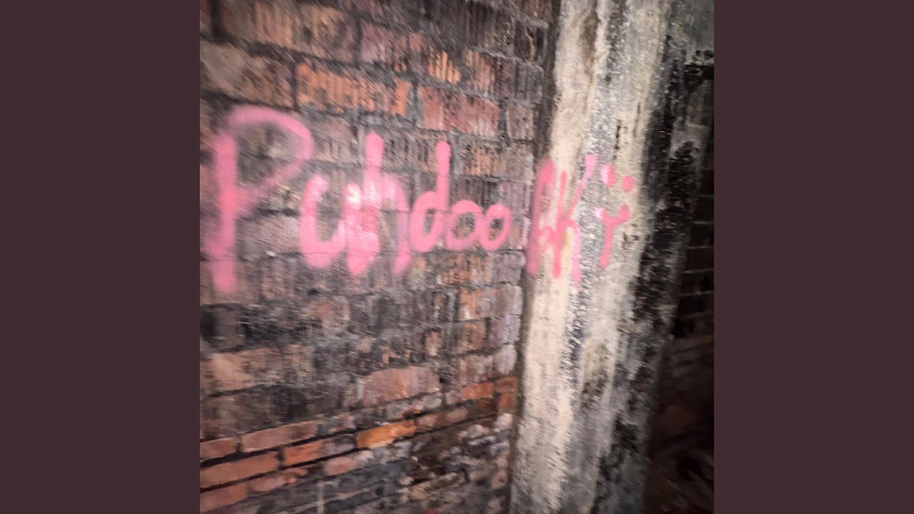 BRING ME FINE SHYT (feat. ReggieHobb)