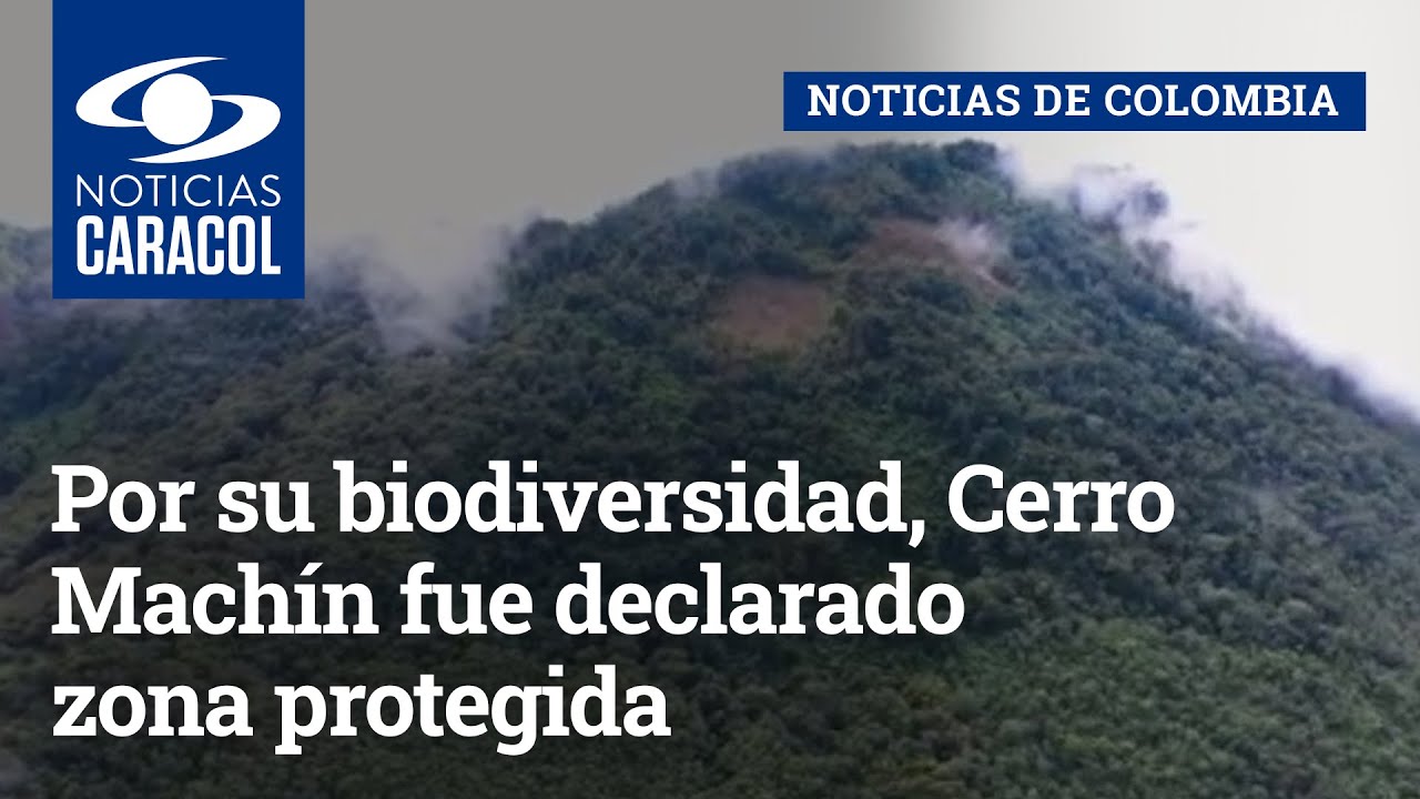 Por su biodiversidad, Cerro Mach&iacute;n fue declarado zona protegida