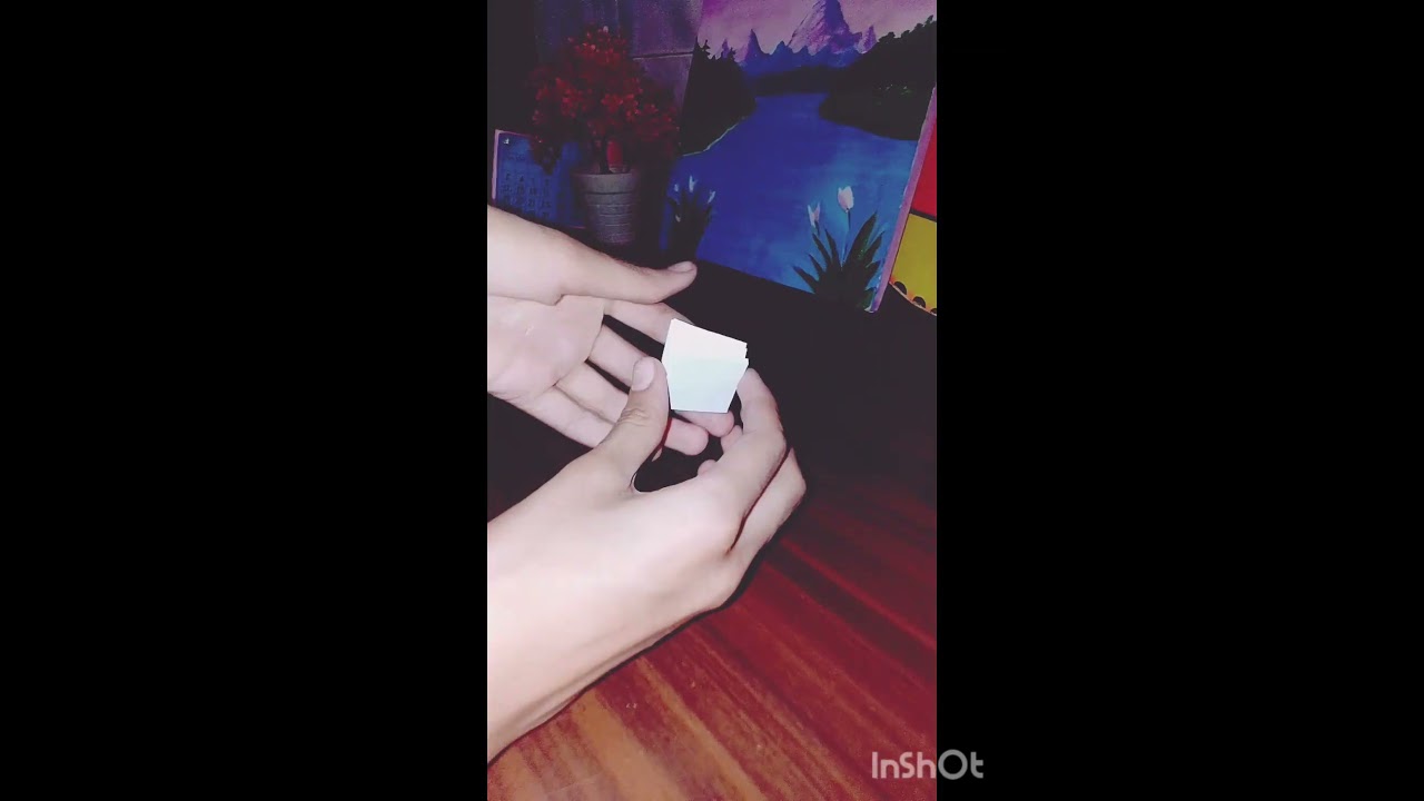mini books 
