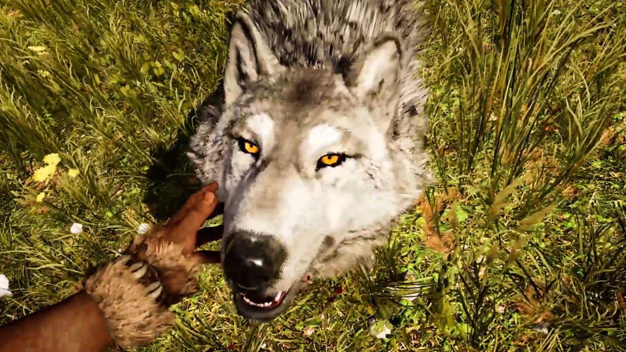 FAR CRY PRIMAL | DOMANDO UN LOBO BLANCO Y UN BUHO
