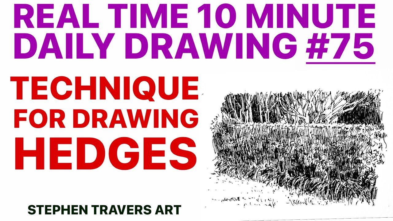 Easy Way to Draw Hedges That Look Real