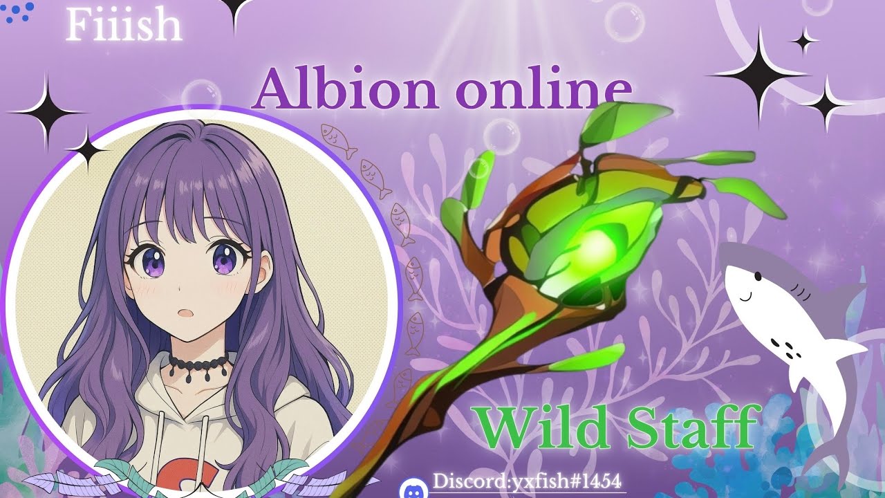 ⚔️ 【𝙰𝚕𝚋𝚒𝚘𝚗】𝙲𝚃𝙰｜𝙲𝚑𝚒𝚙𝚒𝚔𝚒 𝚟.𝚜. 𝚂𝚞𝚖𝚖𝚎𝚛𝚜｜𝚆𝚒𝚕𝚍 𝚂𝚝𝚊𝚏𝚏｜𝟸𝟶𝟸𝟼𝟶𝟹𝟶𝟾-𝟸
