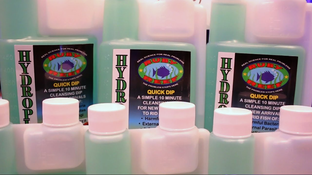 Ruby Reef Hydroplex, A Proactive Dip for all types of fish!