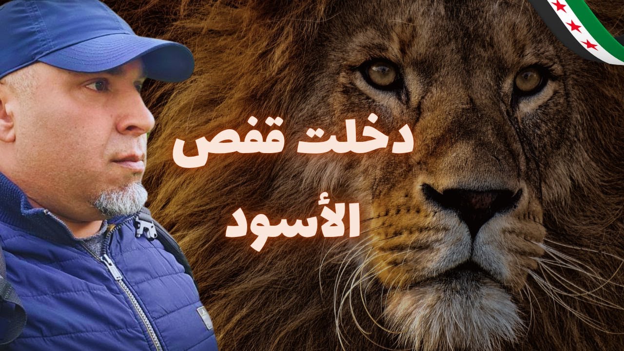 دخلت قفص الأسود في سوريا