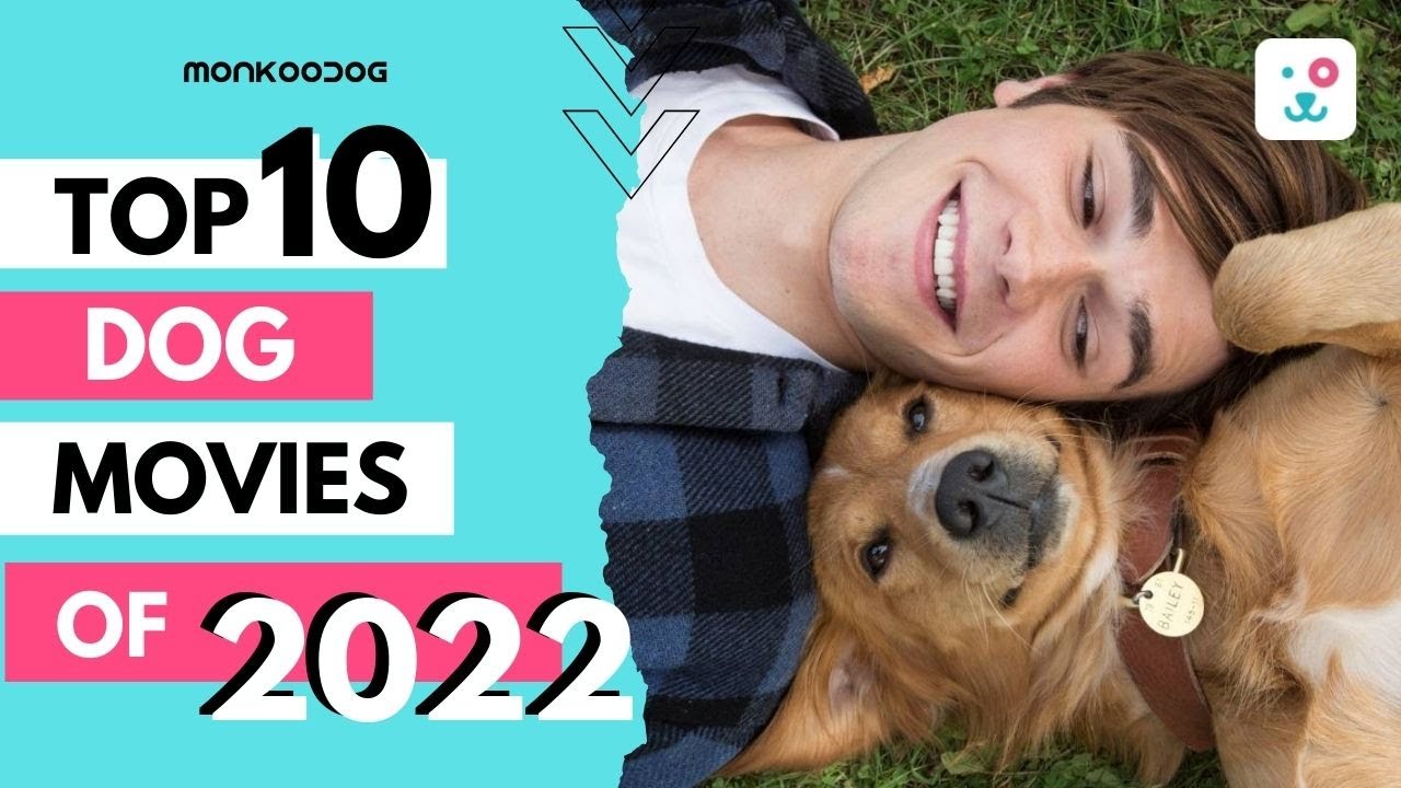 Top 10 DOG MOVIES of 2022 which every pet parent must watch II Monkoodog II