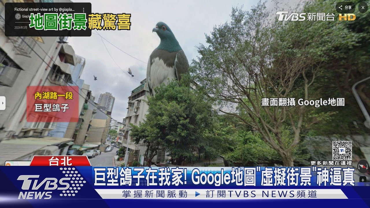 巨型鴿子在我家! Google地圖「虛擬街景」神逼真｜TVBS新聞 @TVBSNEWS01