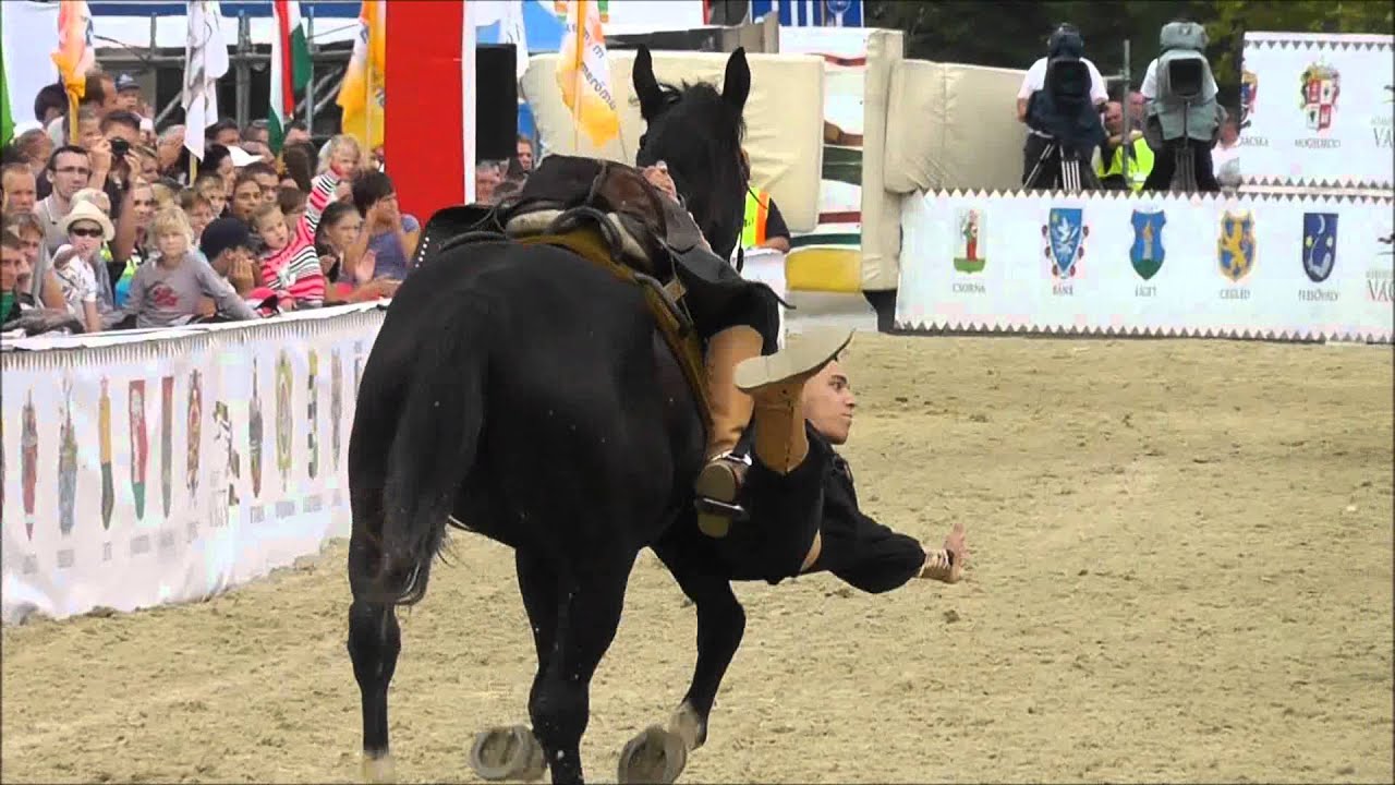 Nemzeti Vágta 2012 - Trükklovas bemutató