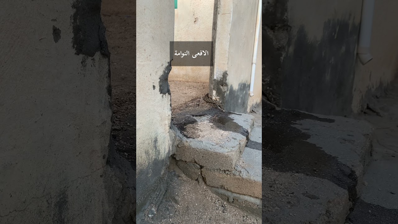 جربنا جميع منتجات طرد الافاعي هل تنفع او لا ؟