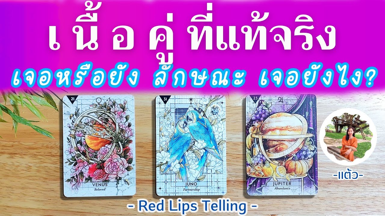 Pick A Card : เนื้อคู่ที่แท้จริง เจอหรือยัง ลักษณะ เจออย่างไร? [ Timeless ]