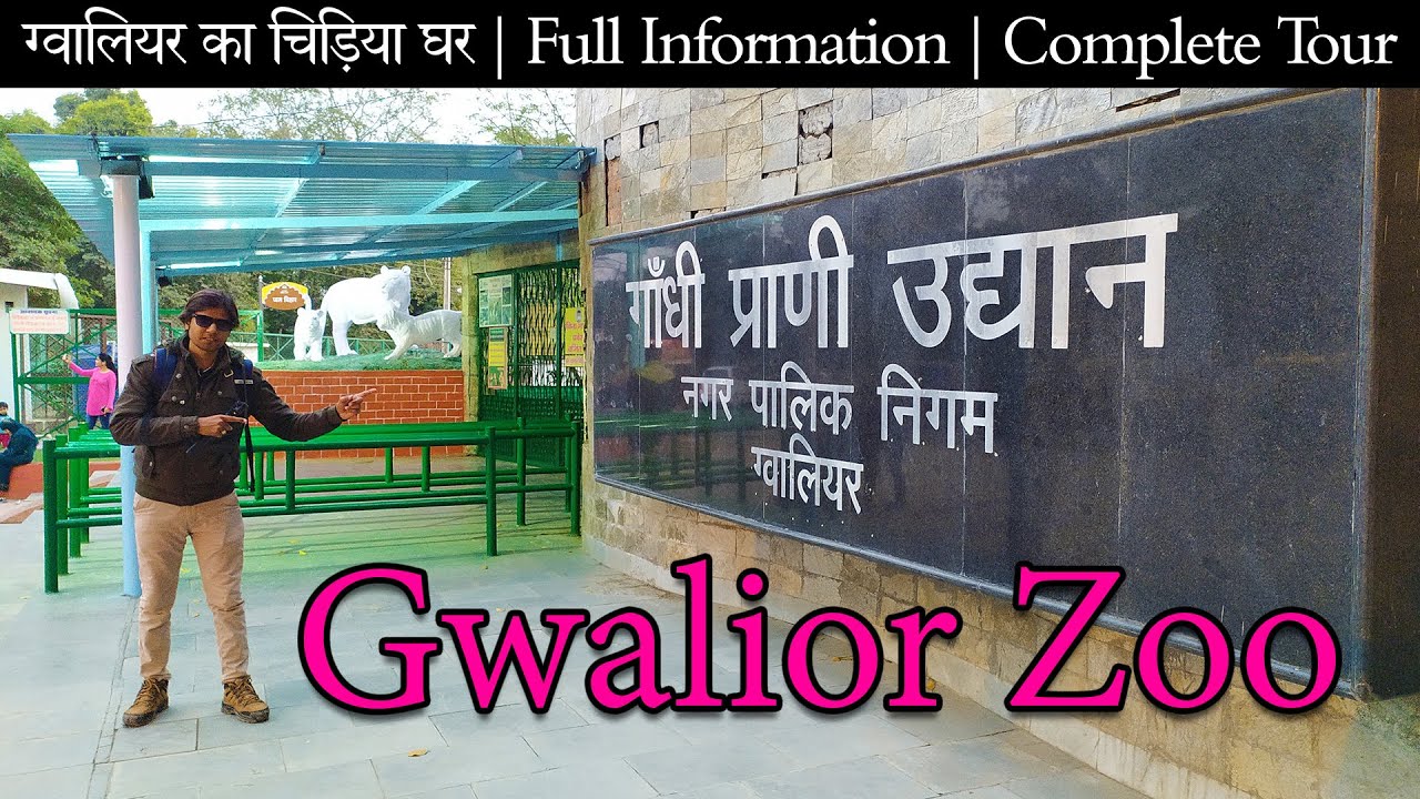 Gwalior Zoo 2021 Now Open After Lockdown | Gandhi Zoological Park Gwalior Travel Vlog Latest Video