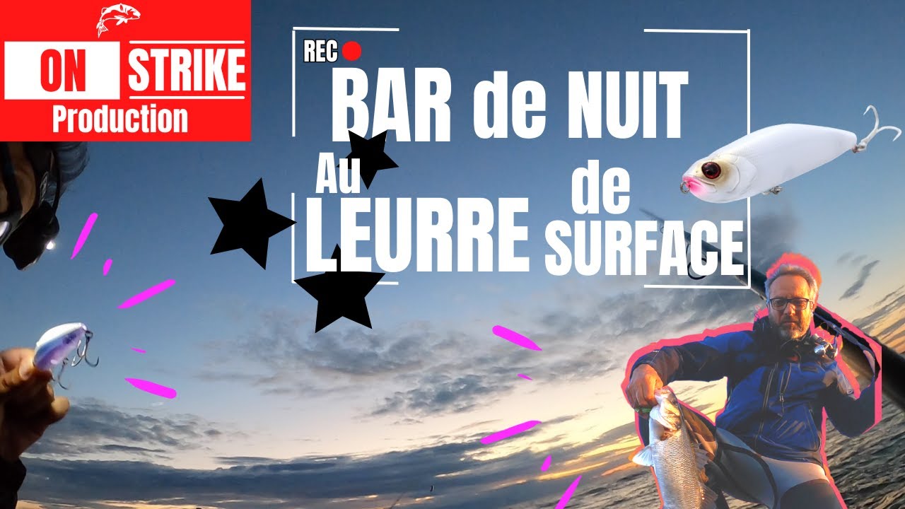 PÊCHE du BAR du BORD de NUIT au LEURRE de SURFACE à la POINTE ST-GILDAS