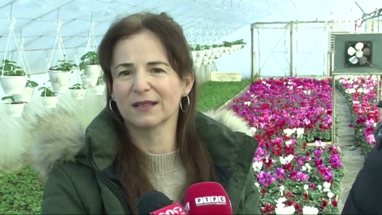 Samac - Cvijece kao izvor prihoda - Hit Televizija Brcko