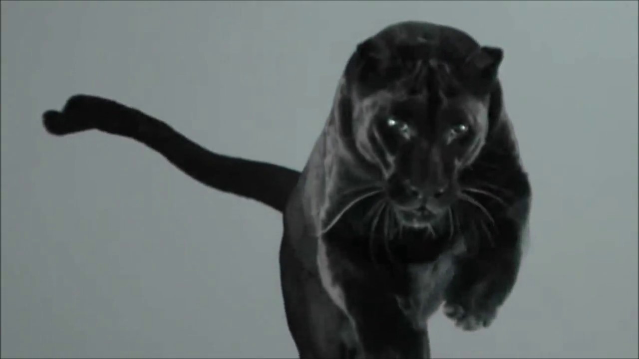 Soul Less- Faquir