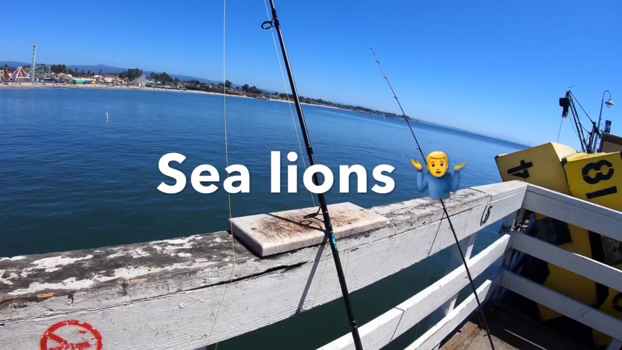 Pier Fishing Tips: Sabiki Rig How To
