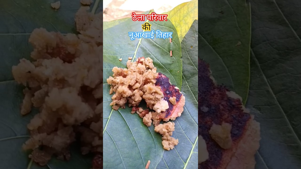 नुवाखाई तिहार #ytshorts #shorts #viral #kesharsahuvlogs