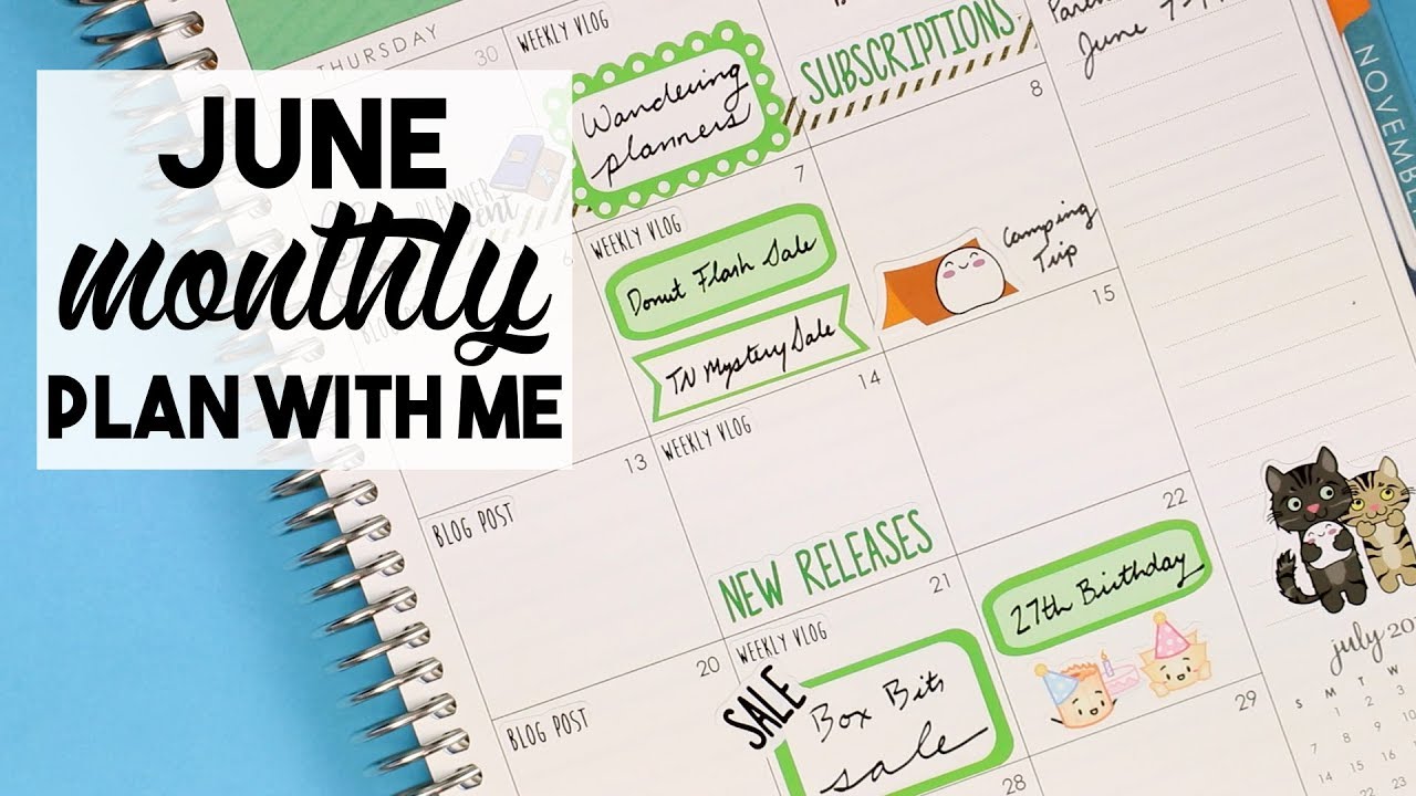June Monthly Plan with Me | Erin Condren Deluxe Monthly