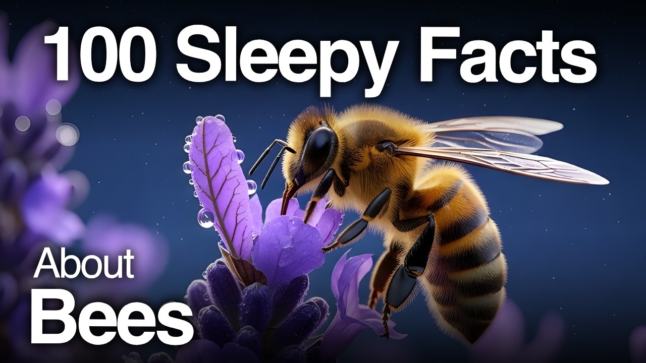 The Most Relaxing Facts About Bees to Fall Asleep To