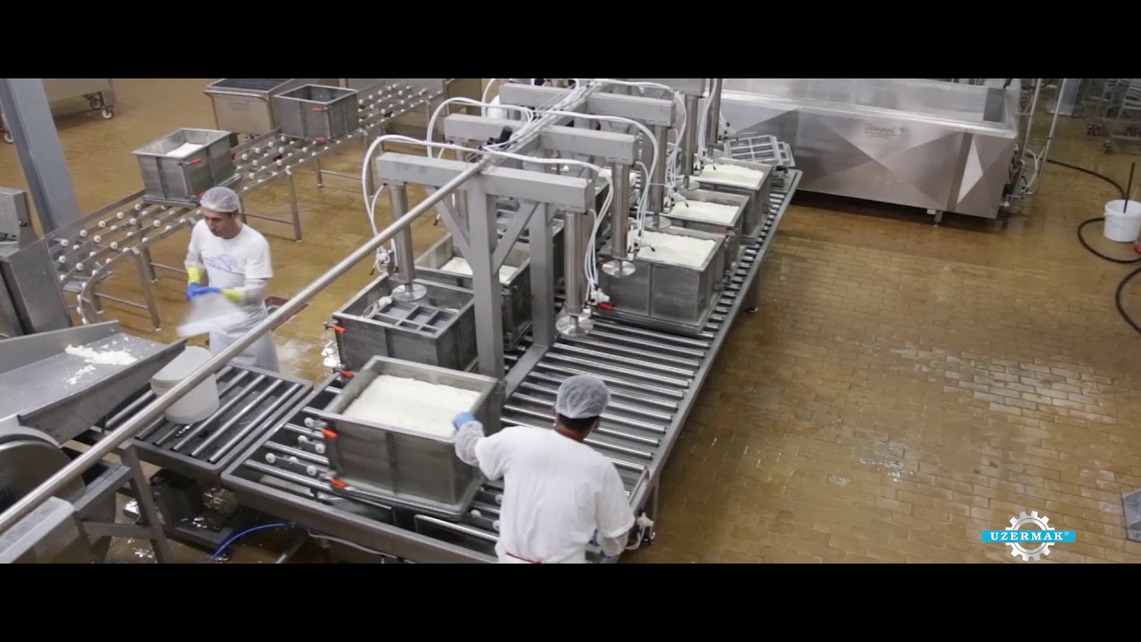 Halloumi Cheese Production
