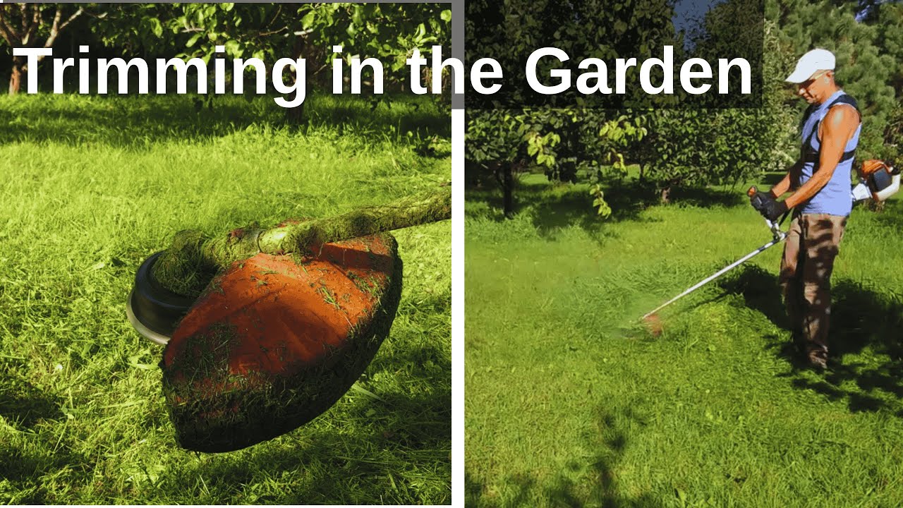 Тримминг в саду 🌿 | Спокойное кошение травы Stihl FS 120 (без слов)