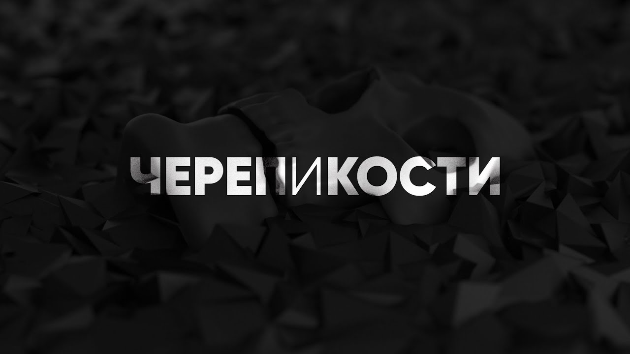 THE METO - Череп и кости (Lyric video)