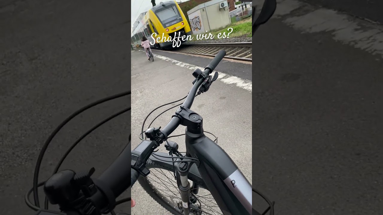 Schaffen wir? #shorts #palutenshorts #TheBlackTiger