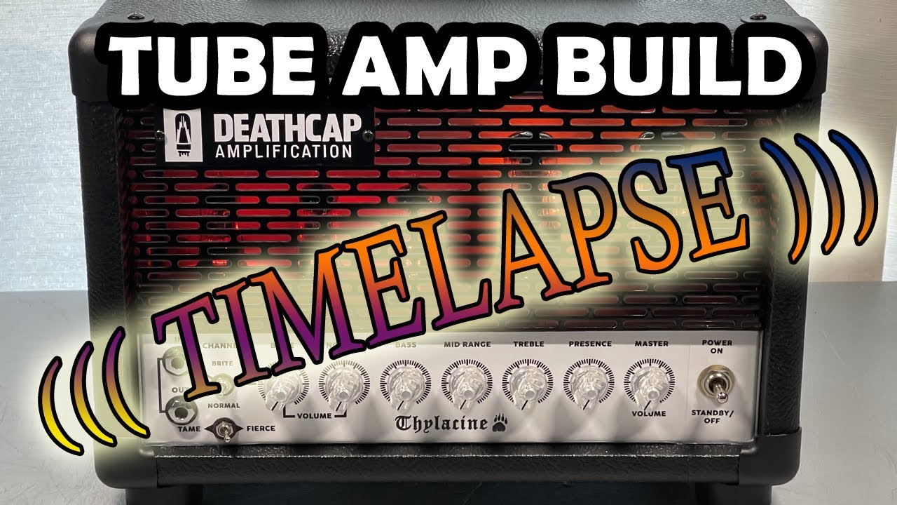 Thylacine (Sunn Model T) Amp Assembly & Wiring Process (Timelapse Video)