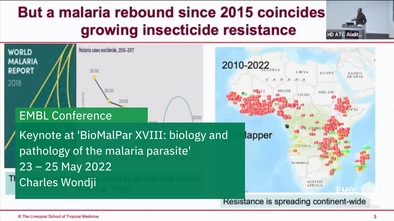 Impact of insecticide resistance on malaria control tools and transmission