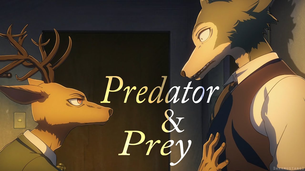 Legoshi x Louis - Predator & Prey (9k Subs)
