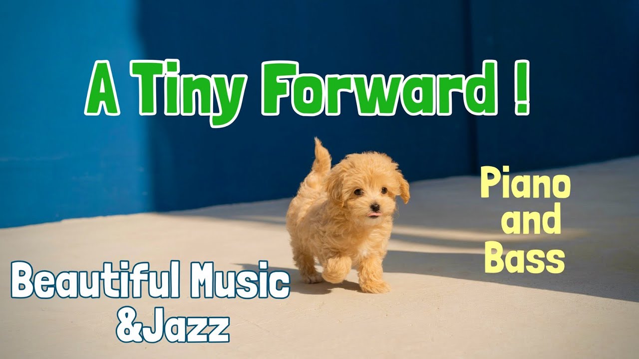 A Tiny Forward | Beautiful Music & Jazz | Piano & Bass