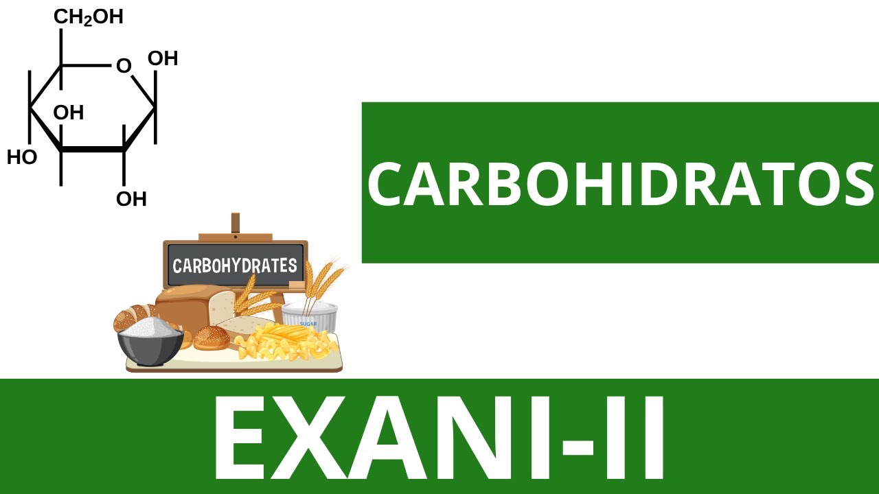 CARBOHIDRATOS | CLASE 3 DEL CURSO DE PREMEDICINA PARA EXANI-II