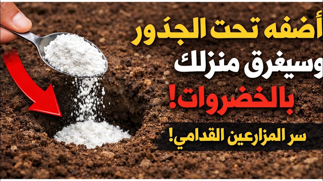 أضف هذا تحت الجذور وسيغرق منزلك بالخضروات! سر المزارعين القدامى الذي لا يريدونك أن تعرفه