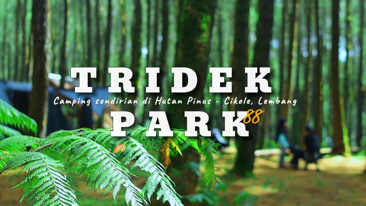 Camping sendirian di tengah Hutan Pinus, Lembang I Tridek Park 88 I ASMR I Eclipta I Honda Freed