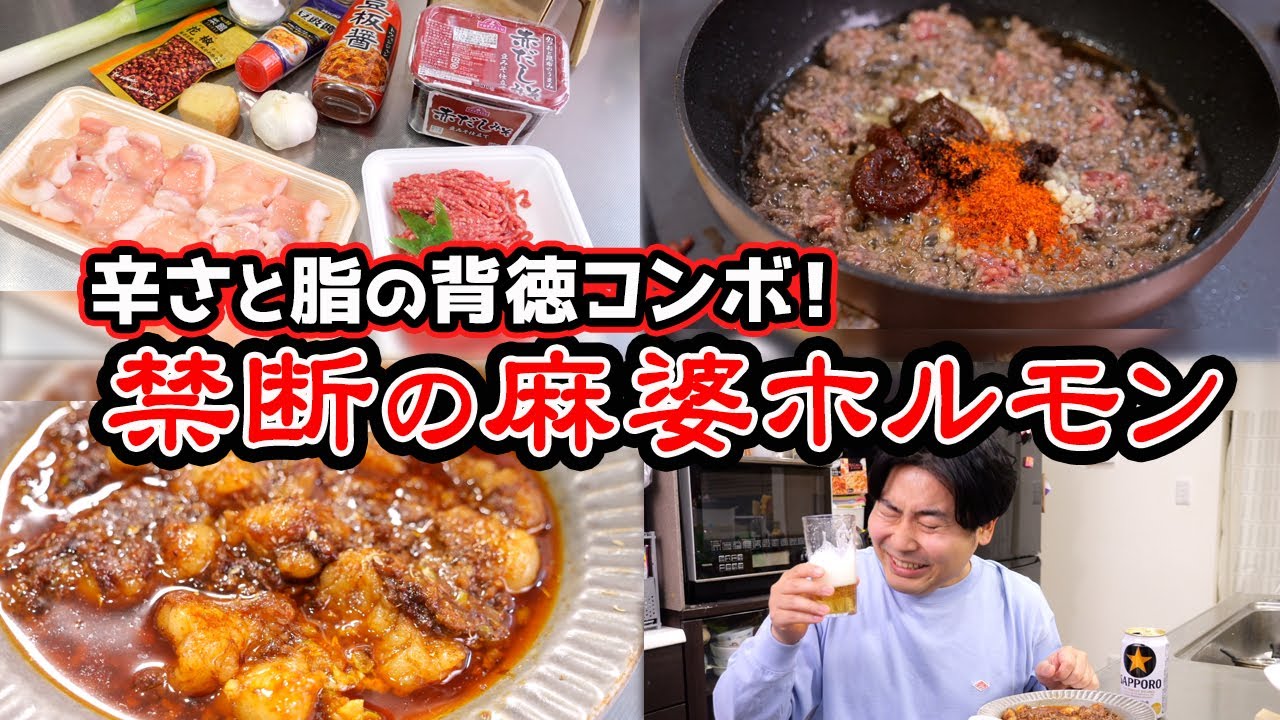 【シビれる辛さ×とろける脂！】禁断の麻婆ホルモンが悪魔的旨さ…！