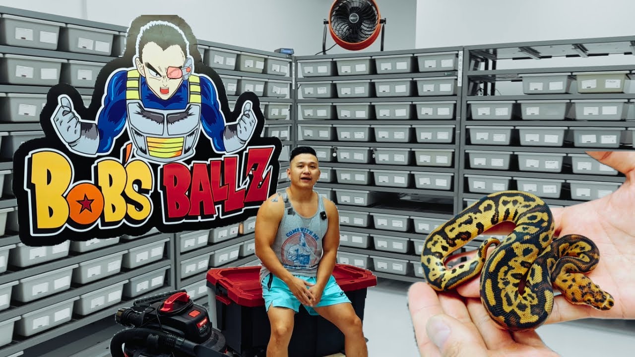 Bobs Balls Facility Tour
