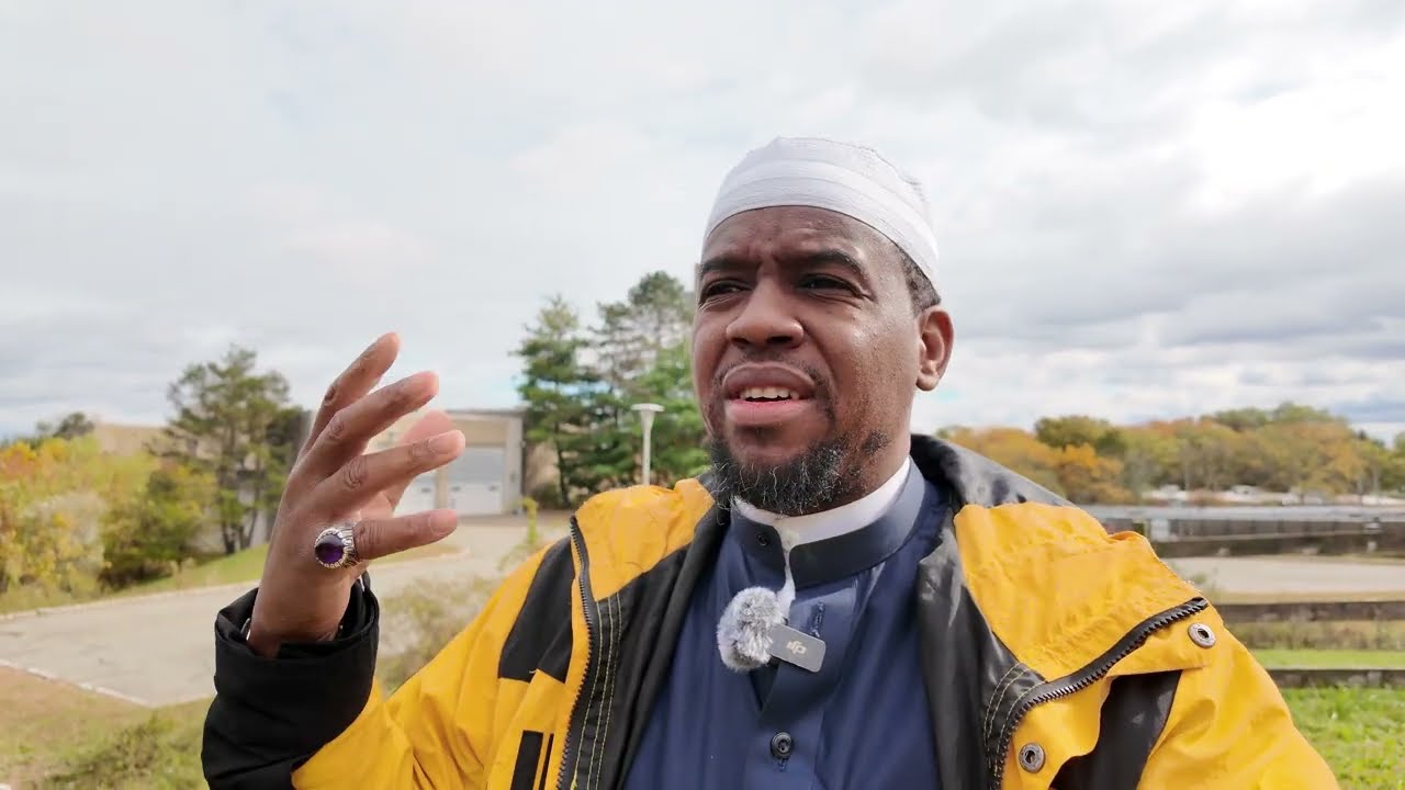 F.M.F. #270 «Bee Bizzy»