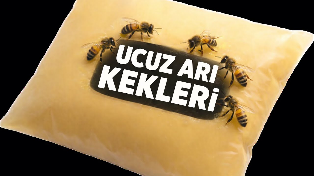UCUZ ARI KEKİ
