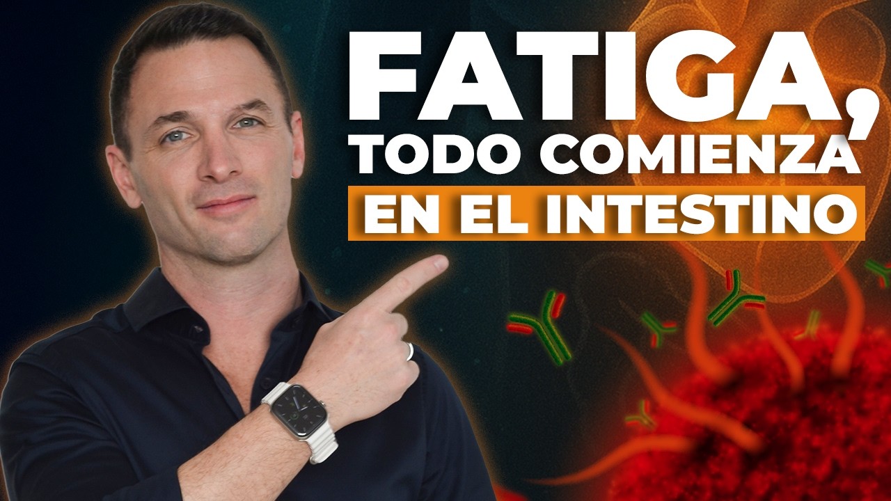 Todo comienza en el intestino, cansancio y fatiga cr&oacute;nica