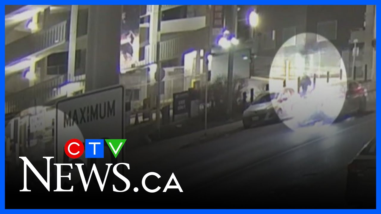 Criminal responsibility questioned at murder trial