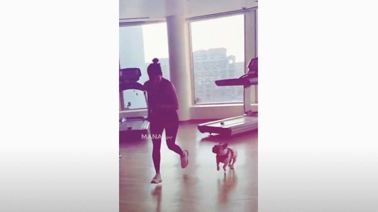 Samantha Playing With Her Dog Hash  #Shorts