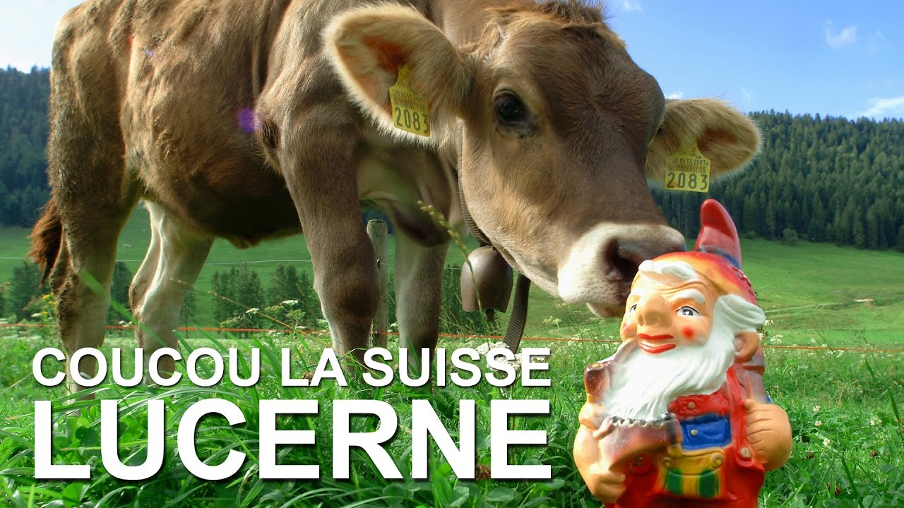 Coucou la Suisse à Lucerne : musée des transports et pont de Lucerne
