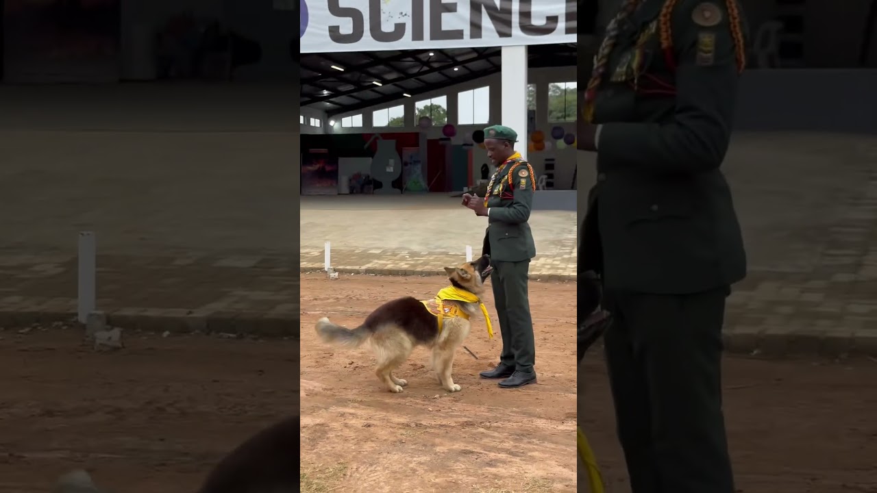 Dog training honor by a Master Guide | Adventist Youth Ministries