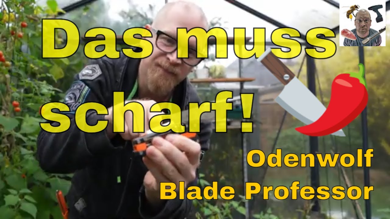 Das muss scharf sein! (Odenwolf Blade Professor)