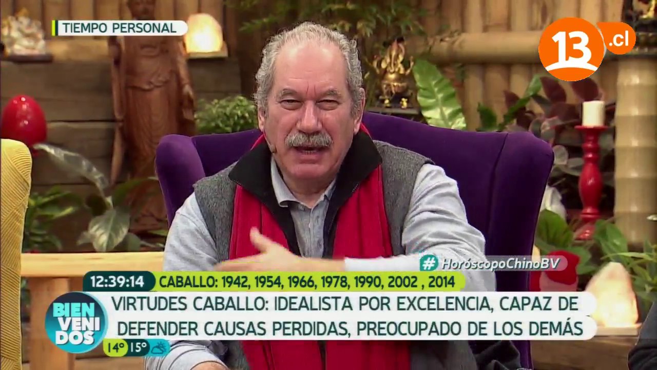 Horóscopo chino: Virtudes y defectos de CABALLO | Pedro Engel
