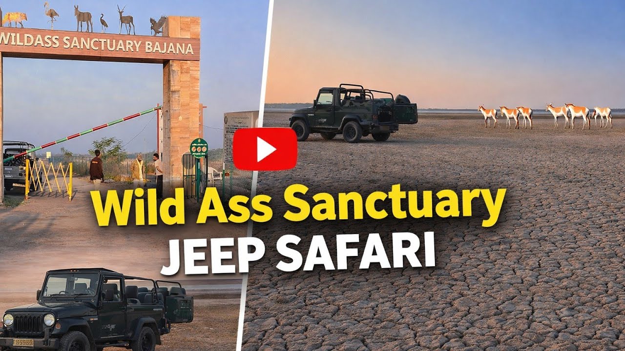 “Bengali Guests Exploring Little Rann of Kutch | Wild Ass Sanctuary Jeep Safari”