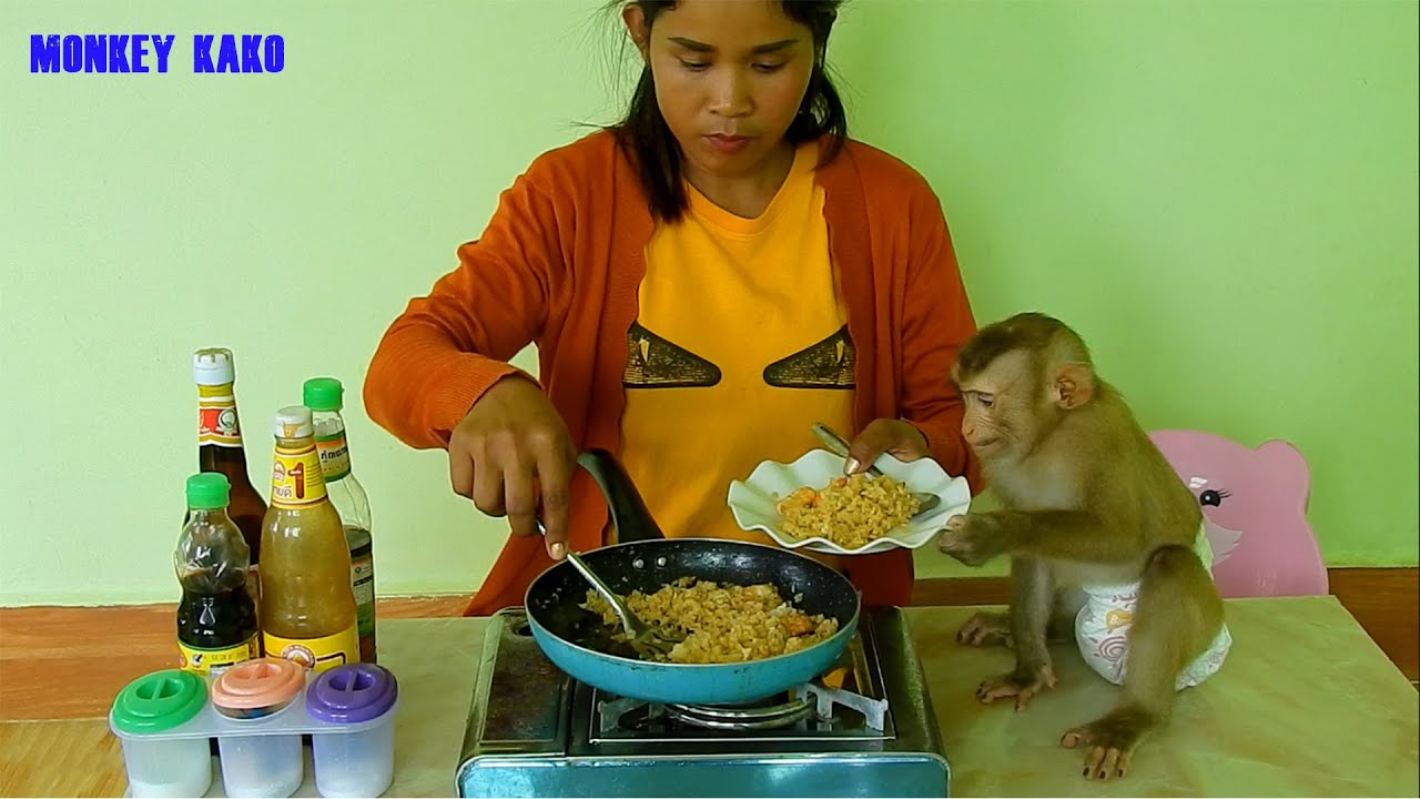 Smart Monkey Kako Waiting Mom Cooking Shrimp Fried Rice With Egg