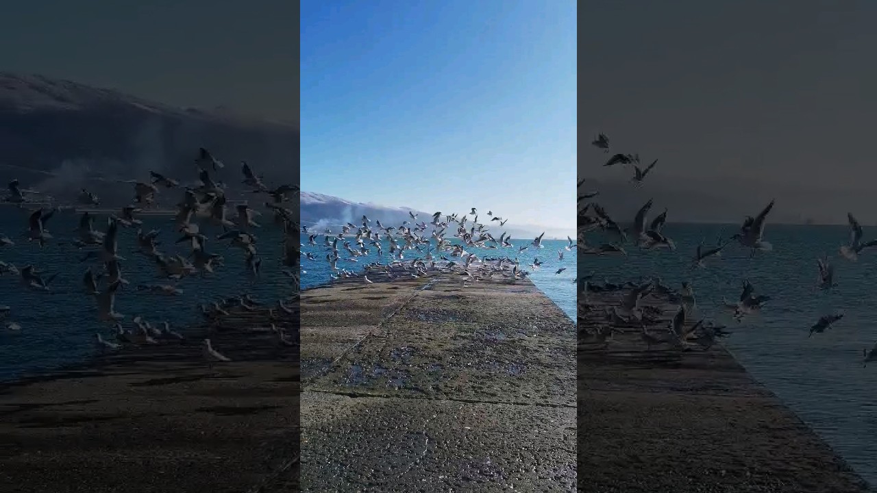 чем заняться на МОРЕ 