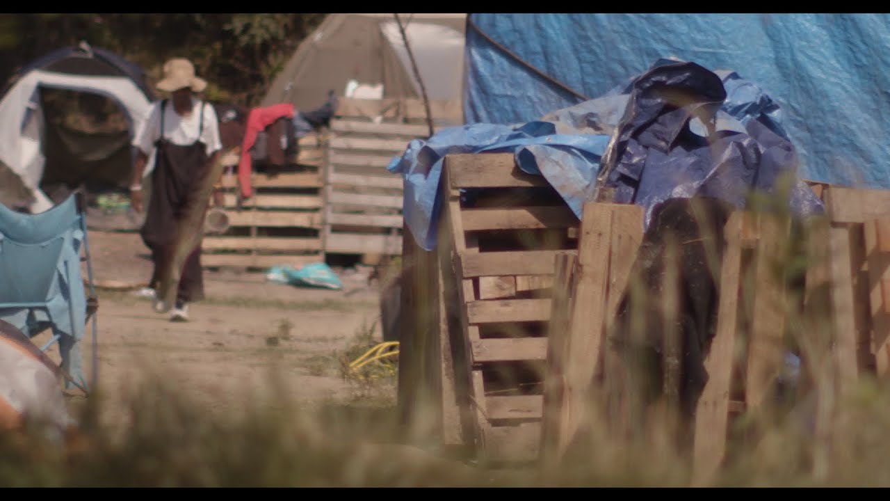 UNSHELTERED