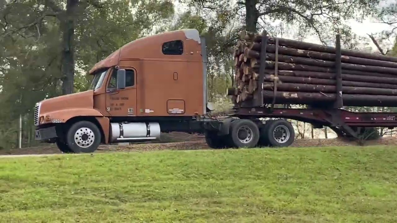Freightliner Columbia Logging Truck