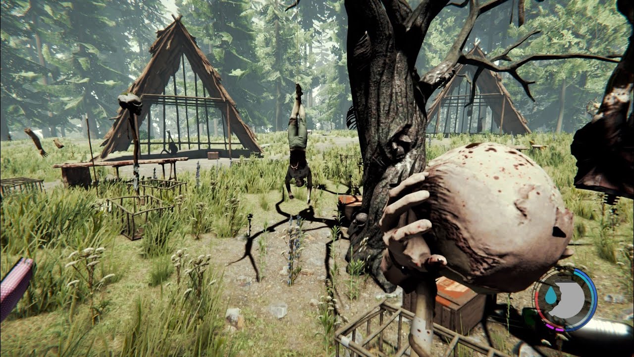 The Forest1: le début de l'aventure avec prime 
