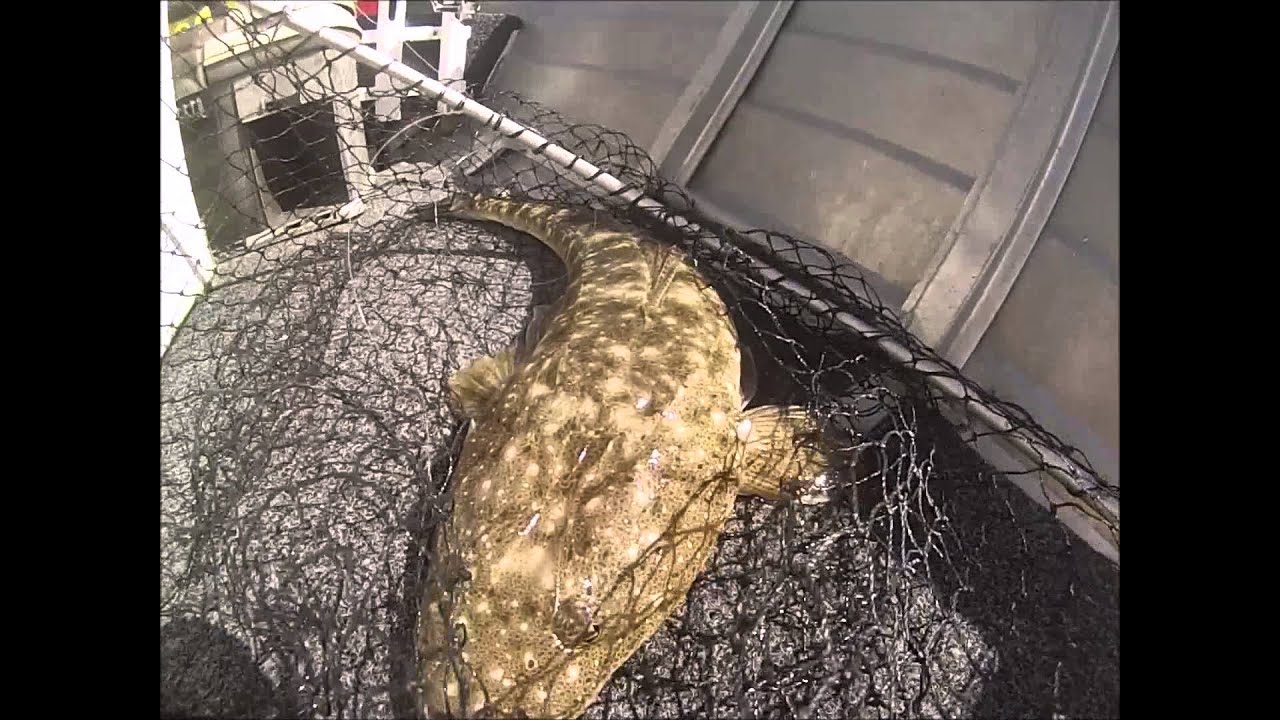 Fishing The Gold Coast Seaway
